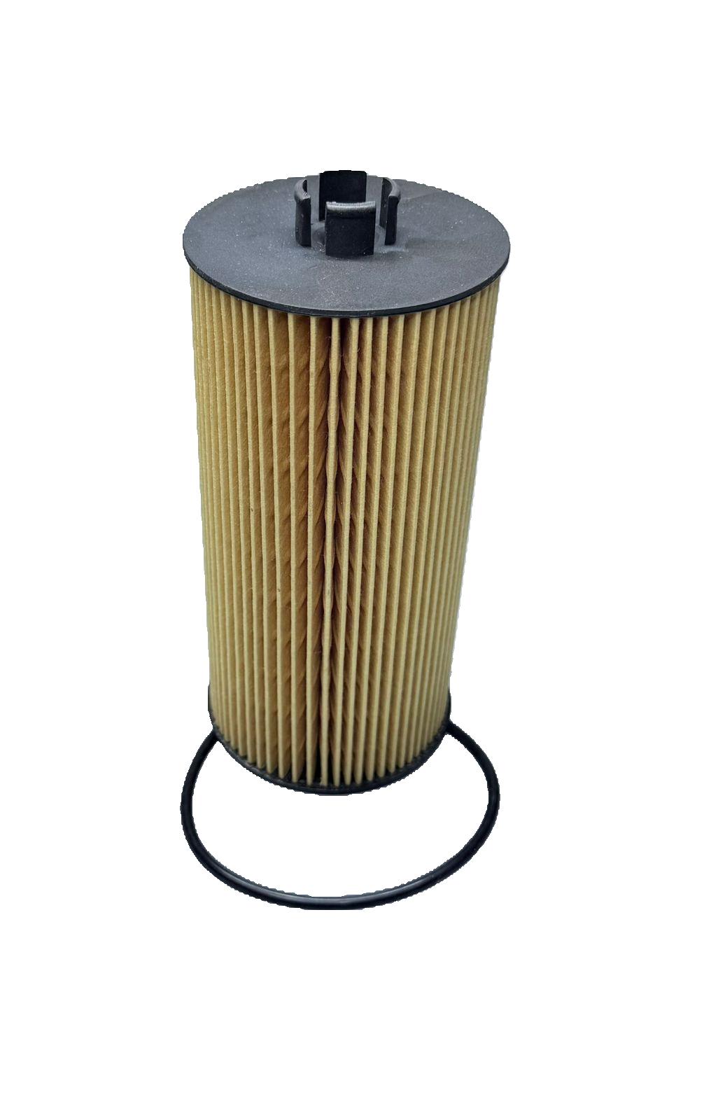 FILTRO ACEITE CART. FORD F150 04-09 V8